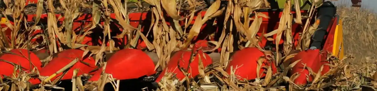 Capello baner z przystawką Quasar